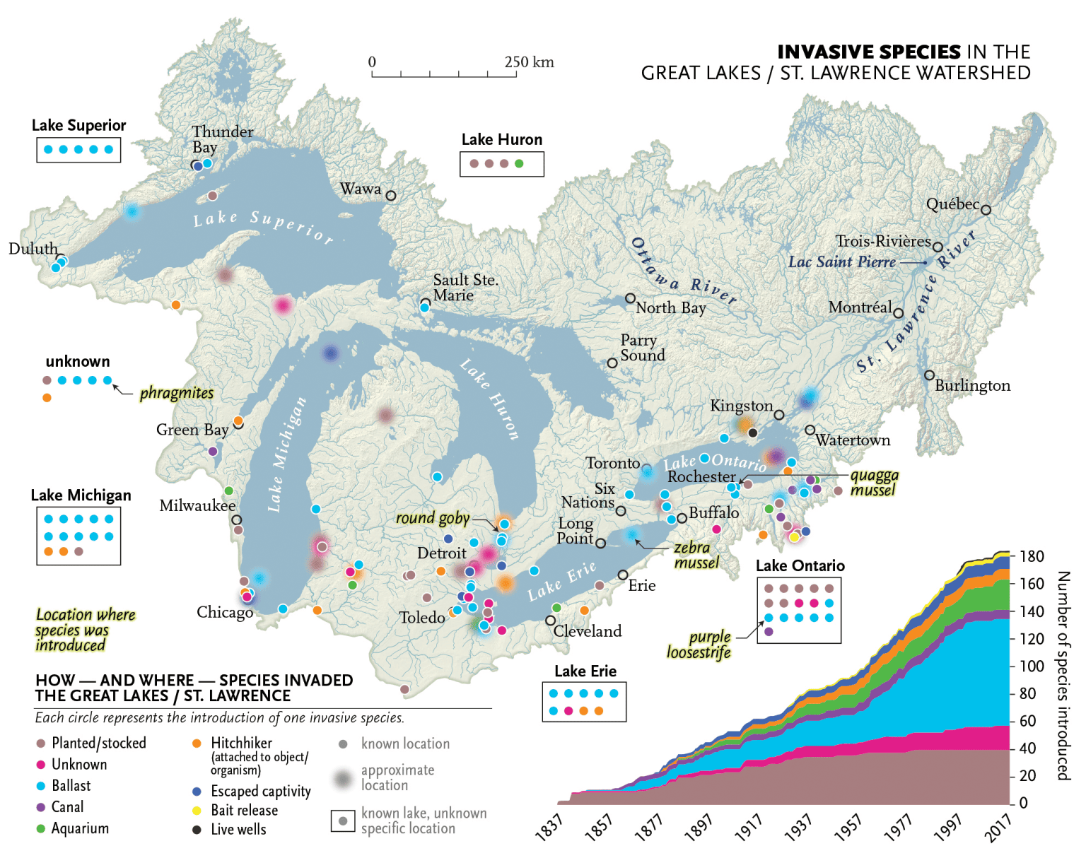 Great-Lakes-Invasives-Map_FINAL_03-1536×1214 Map of invasive species in the Great Lakes