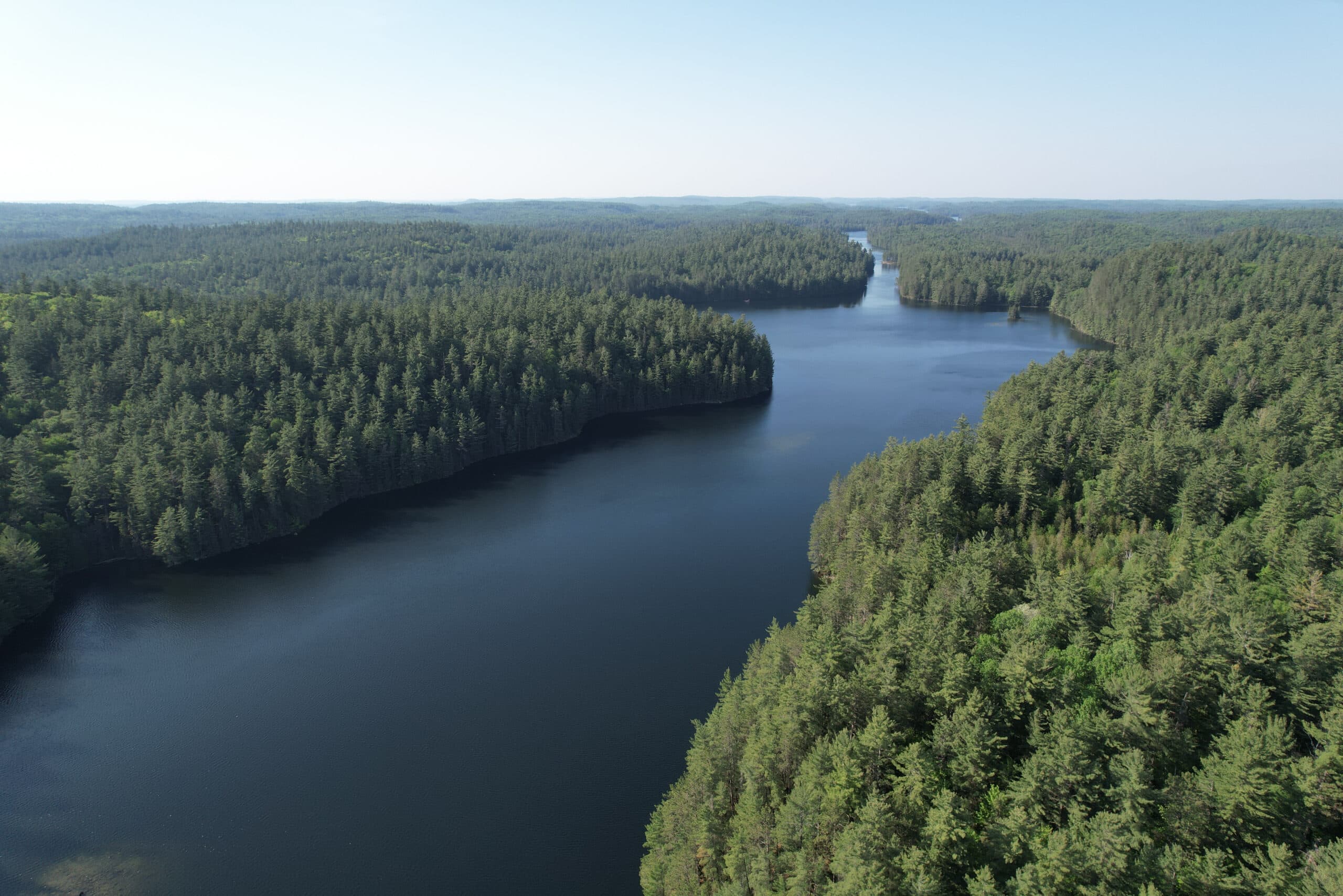A pristine blue river cuts through a lush forest