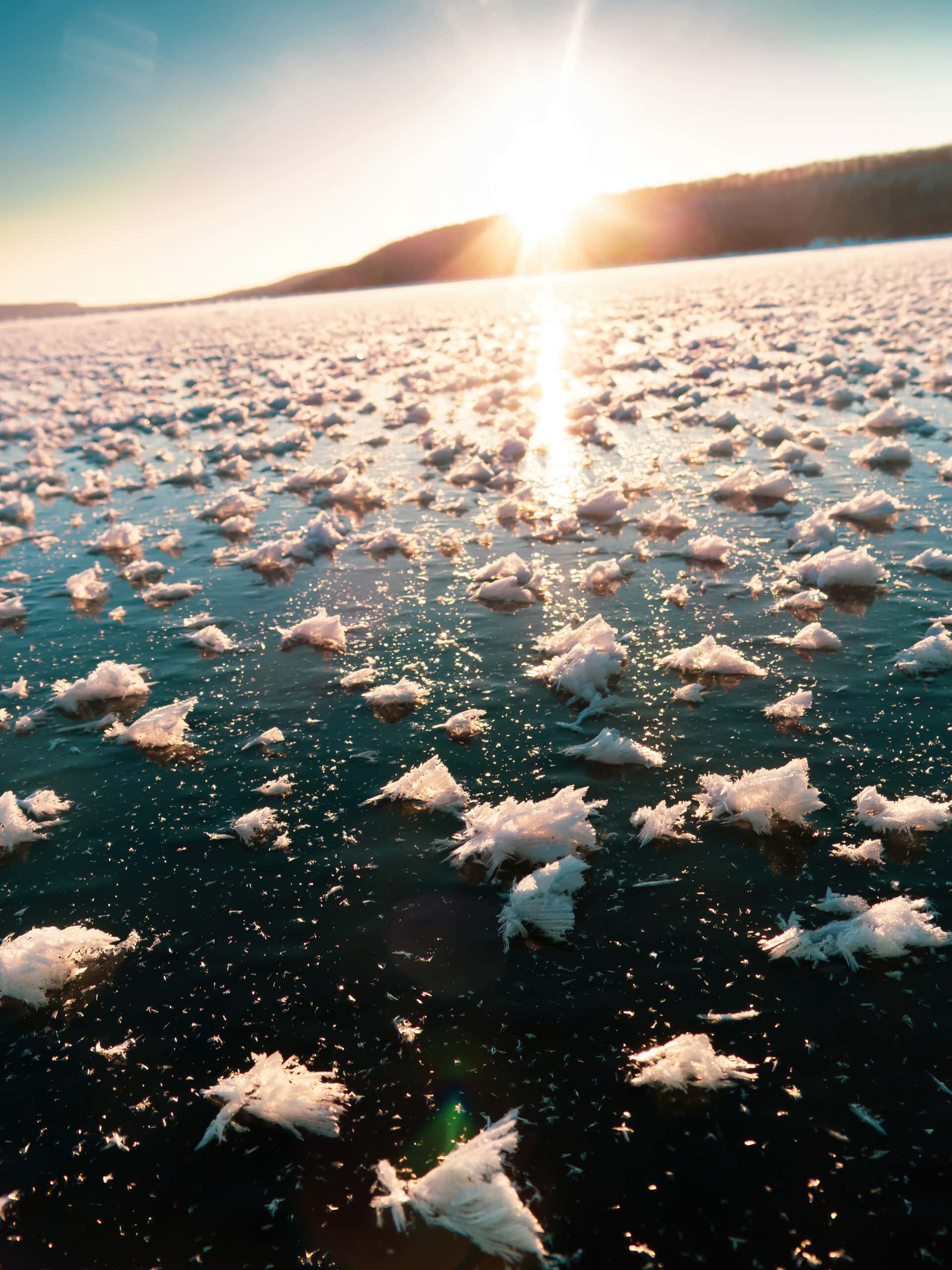 Fleurs de givre 01 Frost flowers sit on the glassy surface of the frozen lake