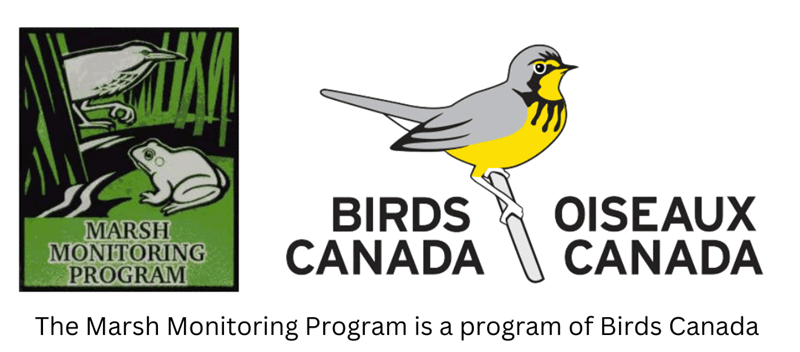 mmp-birds-canada-logo